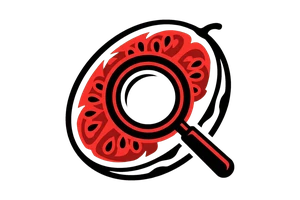 乱VODAFONEWIFI - 吃瓜社Logo